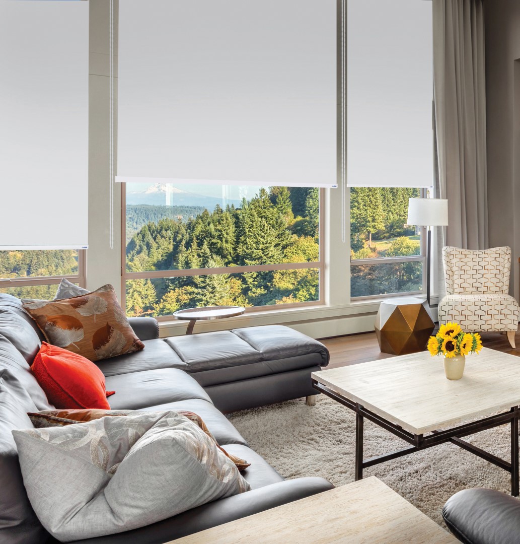 Furnished living Room with view on sunny afternoon Furnished living Room with view on sunny afternoon